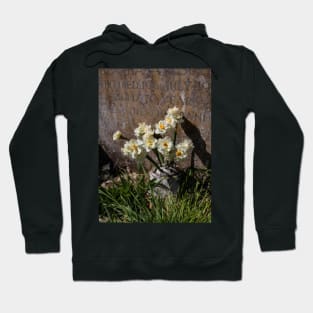 Beaudesert St Nicholas  church Hoodie